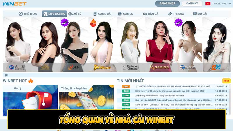 Tổng quan về nhà cái Winbet